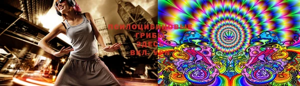 сатива Медногорск